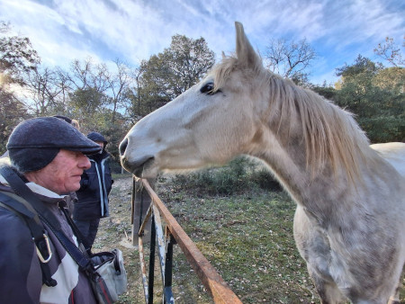 un cheval nous cause.....